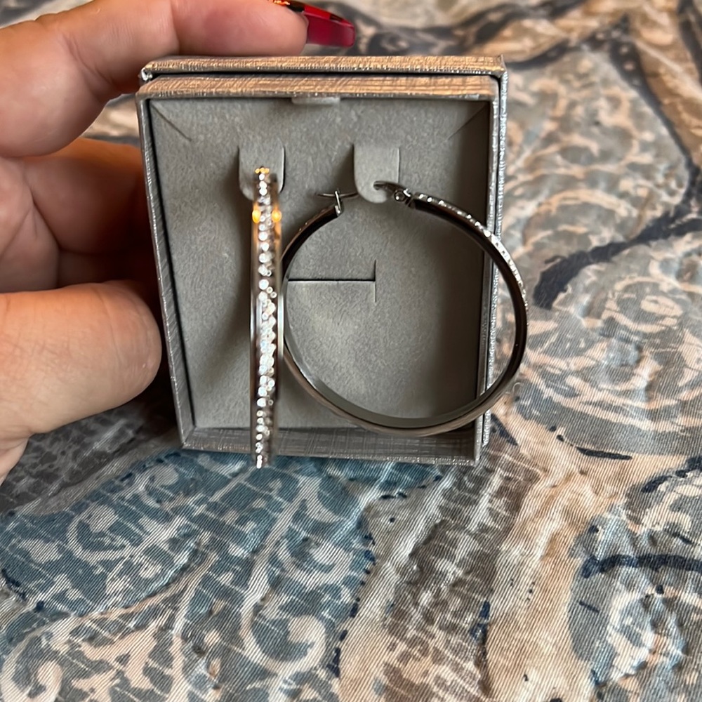 Stainless steel Hoop Earrings